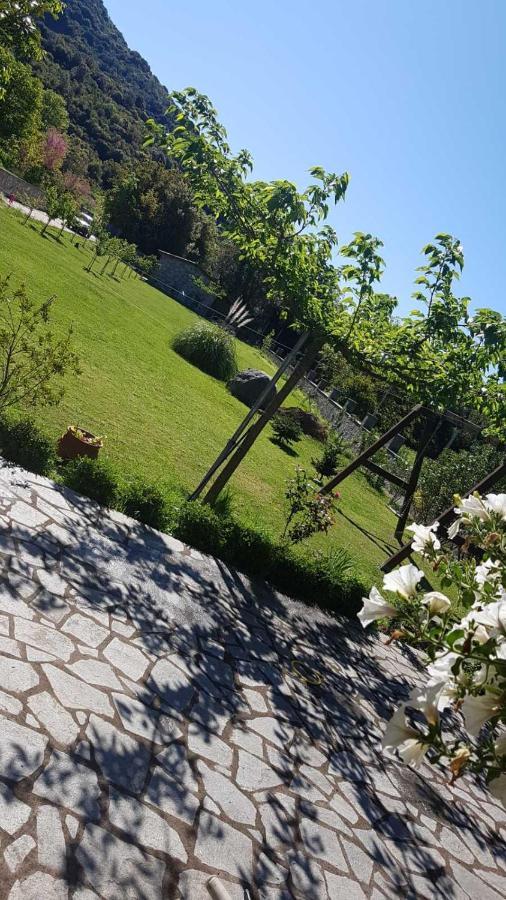 House With Big Garden And Barbeque In Nature Vourgareli エクステリア 写真