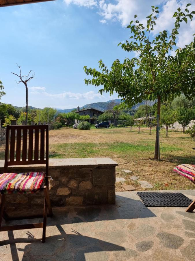 House With Big Garden And Barbeque In Nature Vourgareli エクステリア 写真