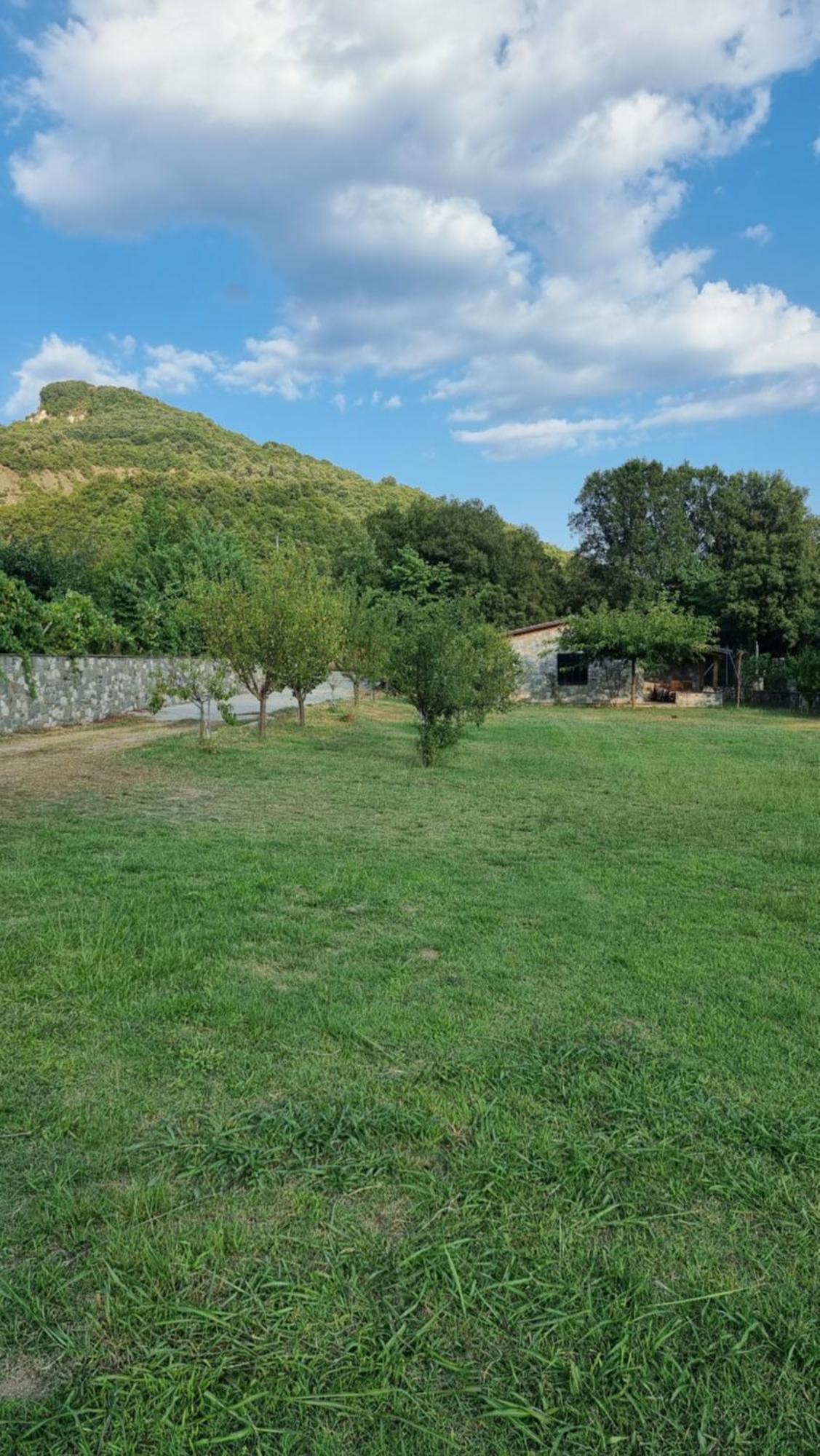 House With Big Garden And Barbeque In Nature Vourgareli エクステリア 写真